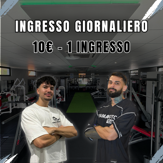 Ingresso giornaliero